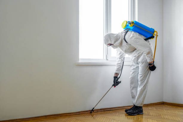 Best Affordable Pest Control Services  in Anna, IL